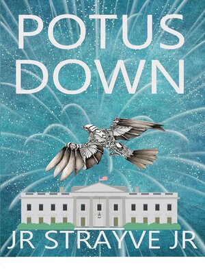 cover image of POTUS DOWN